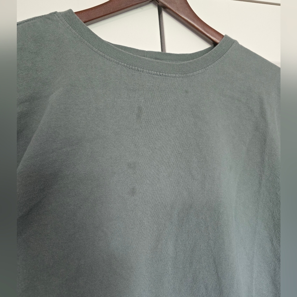 Carhartt Women's Green Long Sleeve Graphic Shirt - Picture 3 of 6